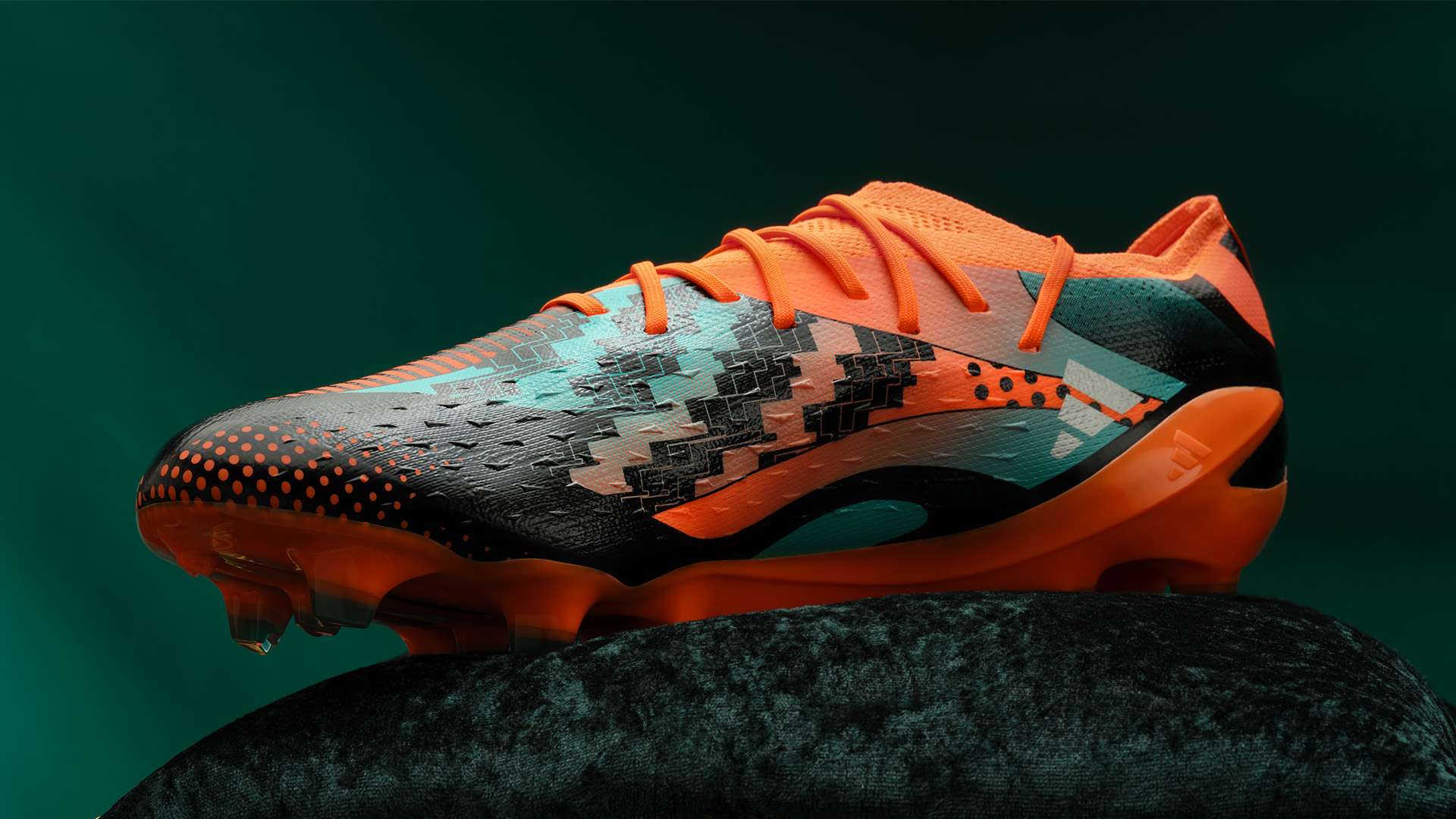 球迷们开始 球迷们开始